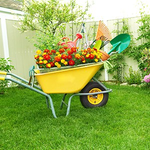 wheelbarrow full of gardening tools on a green lawn