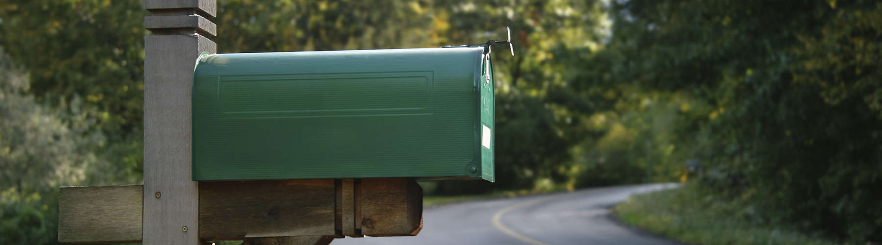 A green mailbox in a rural neighborhood.