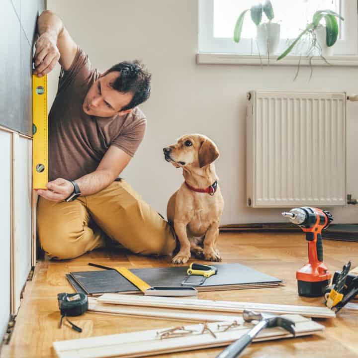 Man doing renovation work at home together with his small yellow dog