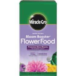 Miracle-Gro Flower Dry Plant Food