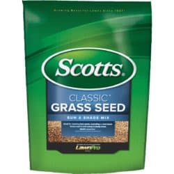 grass seed