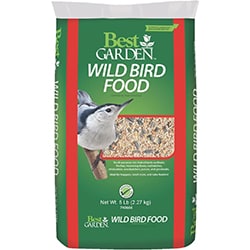 bird food