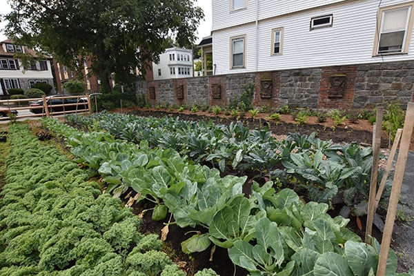 urban farming institute