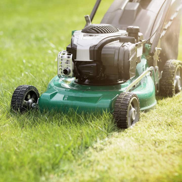 lawn care & maintenance