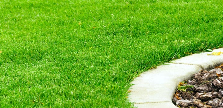 lawn care and maintenance projects