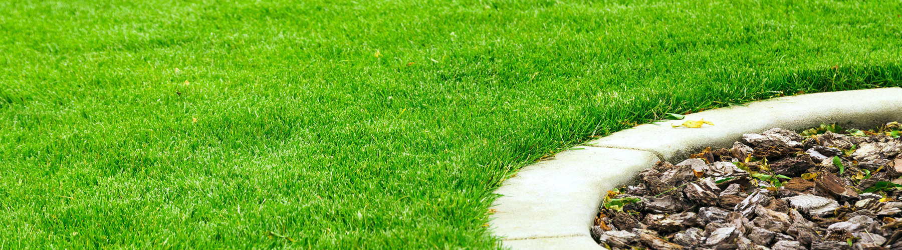 lawn care and maintenance projects